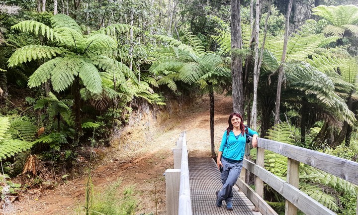 Aotea Track